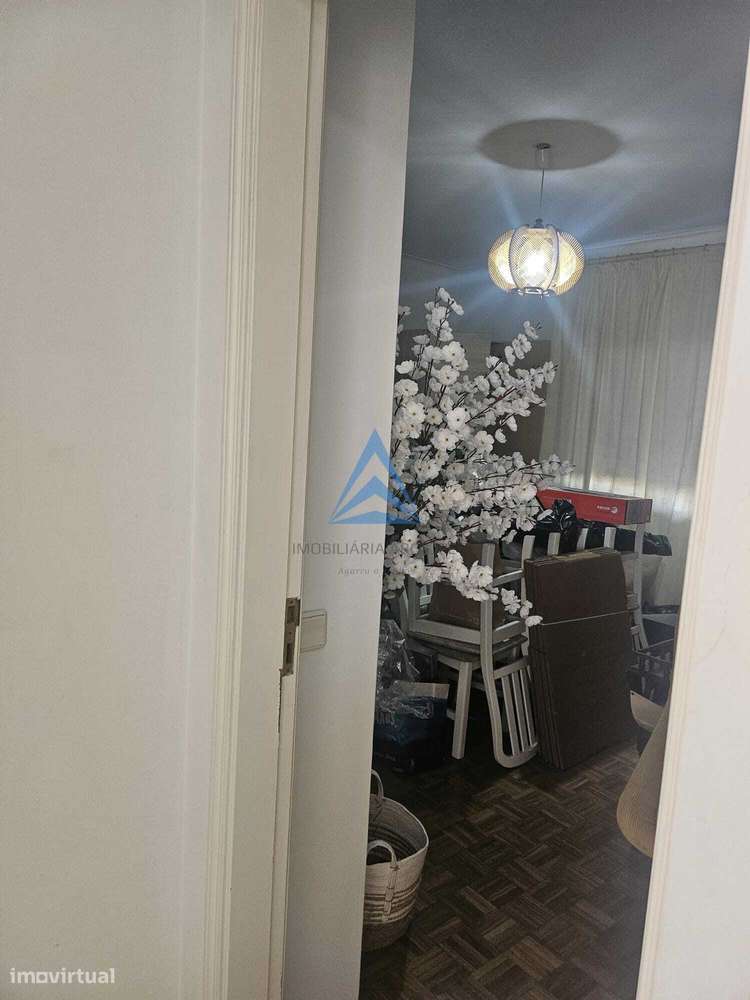 PEDROGRÃO - Grande imagem: 4/32