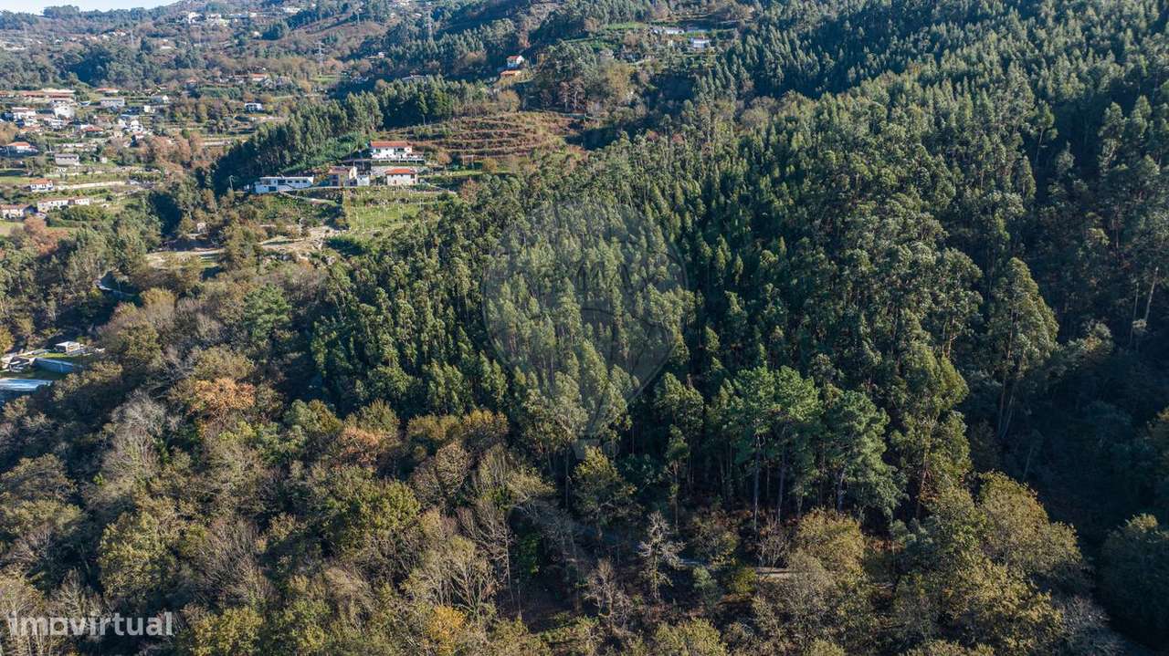 Terreno  para venda - Grande imagem: 4/12