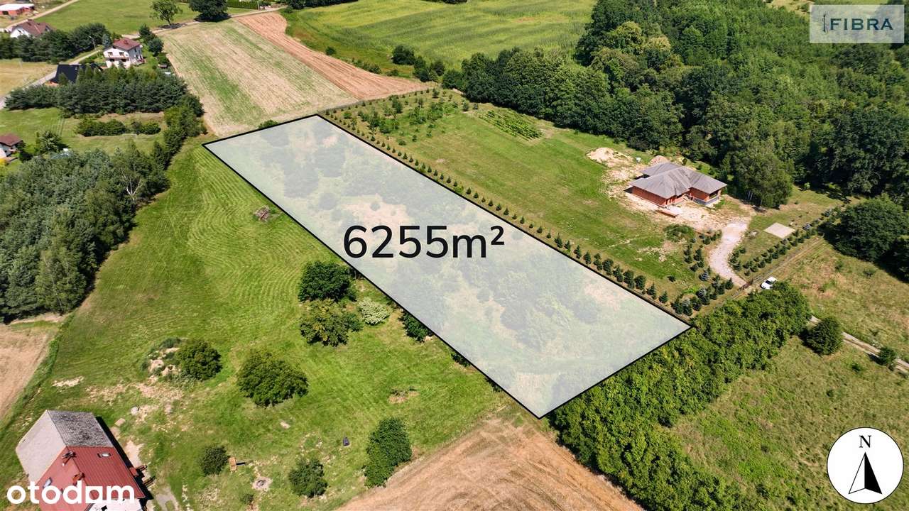 Siedlisko. Nowa niższa cena. - Pełny obrazek: 4/20