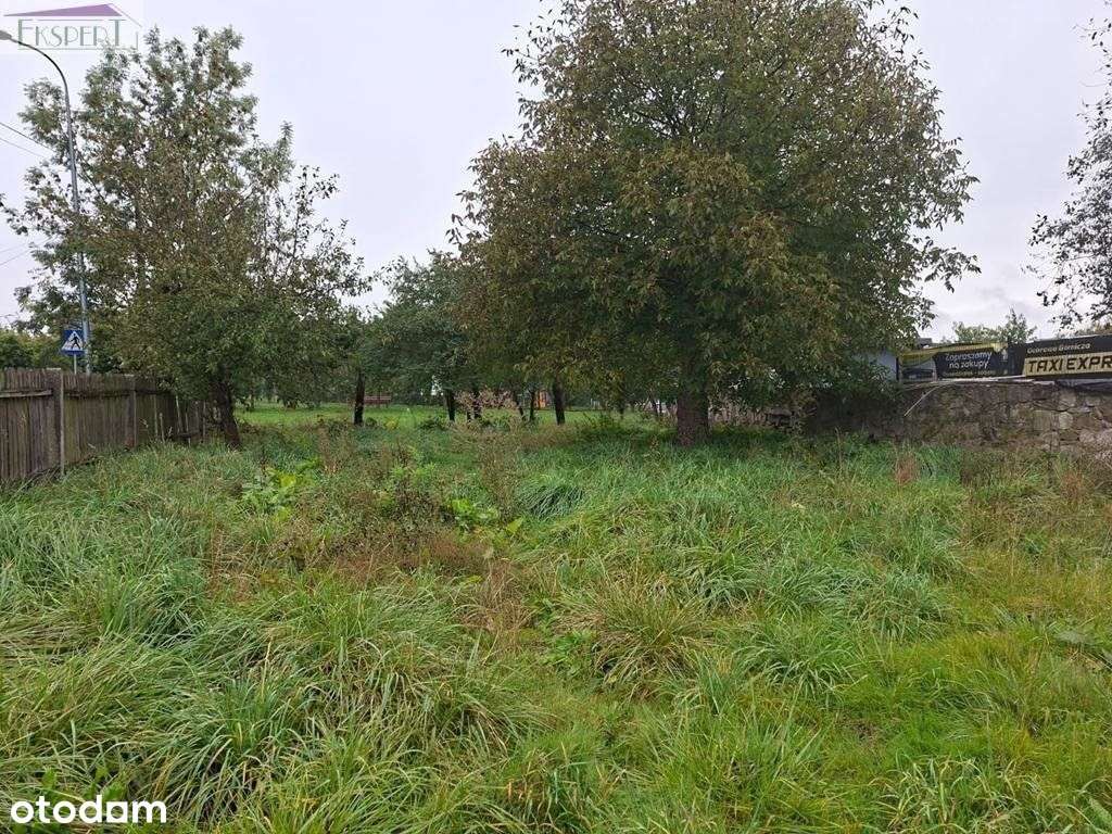 Dąbrowa Górnicza mały domek w pobliżu Pogorii-7