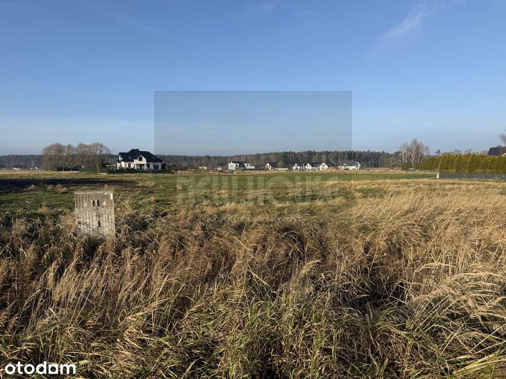 NEW20068 - Pełny obrazek: 4/5