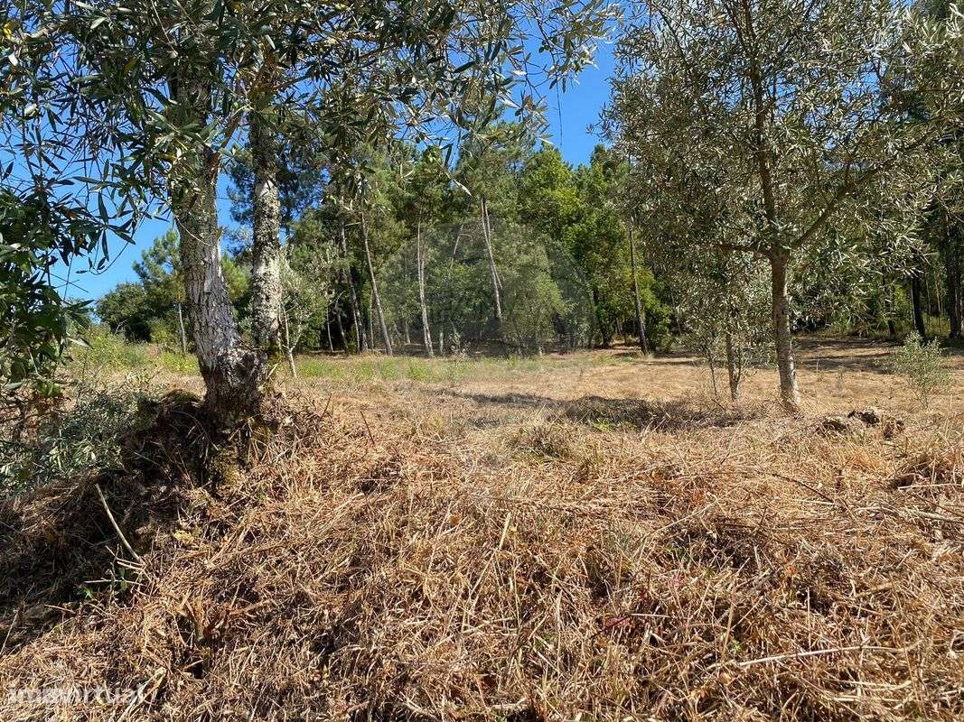 Terreno  para venda - Grande imagem: 5/7