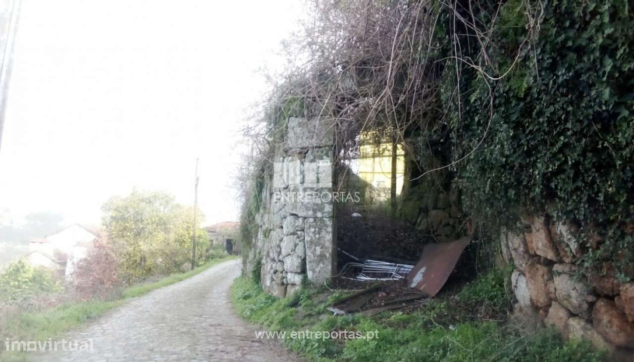 Venda Quinta, São Cristóvão de Nogueira, Cinfães - Grande imagem: 4/15