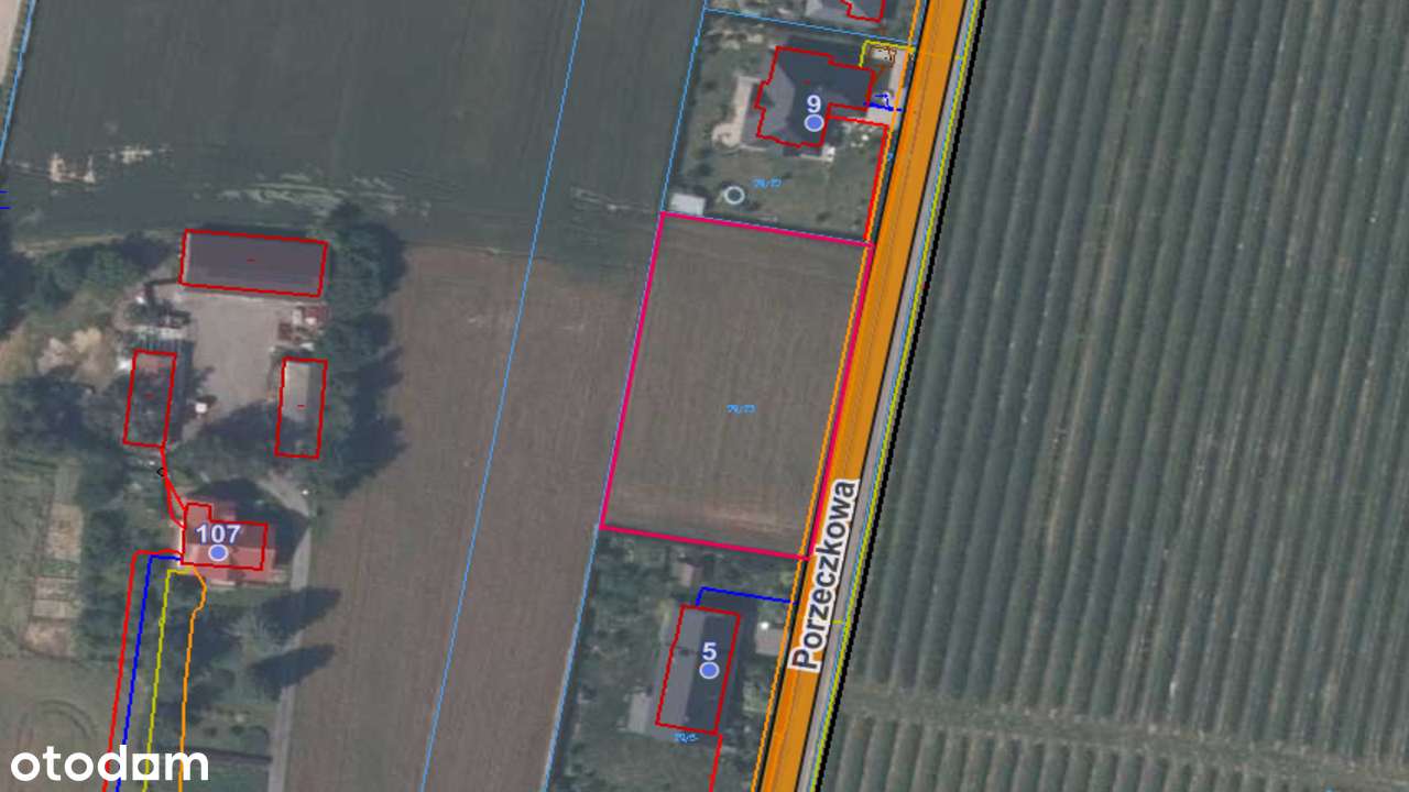 Działka budowlana 20 ar (szeroka) Wilczopole 500m od granicy Lublina. - Pełny obrazek: 5/5