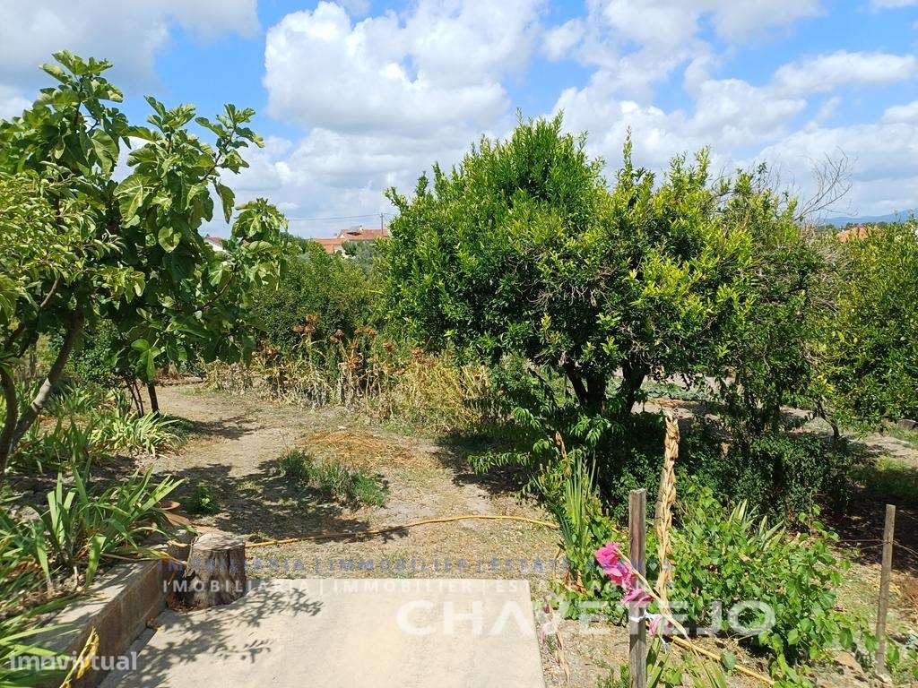 Moradia de Campo com Terreno, Furo de Água e Olival-34