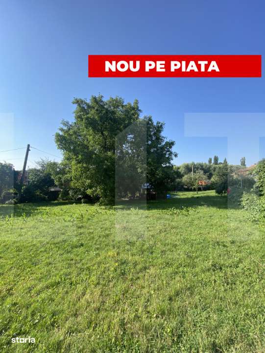 Teren intravilan de vanzare, 821 mp, Strada Borviz - Imagine principală: 1/2