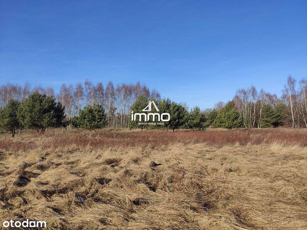 DRĄGÓW - działka budowlana na granicy lasu - Pełny obrazek: 5/16