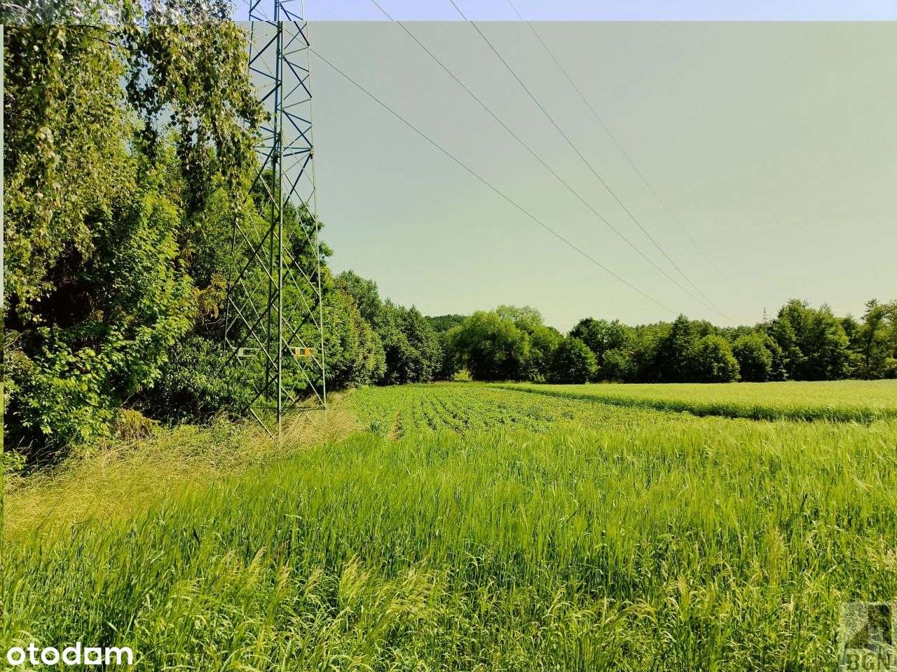 Działka budowlana ze stawem Oborniki Śląskie.-9