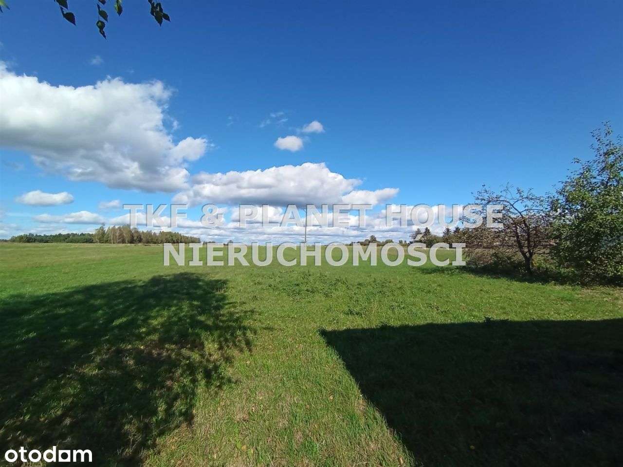 Dom z działka 1,4 ha na sprzedaż w Jelni/Drzewica - Pełny obrazek: 5/17