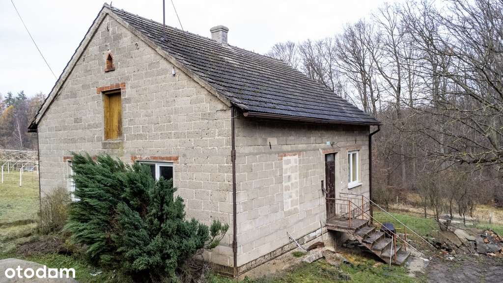 Dom do remontu na dużej działce 81ar | Stobierna - Pełny obrazek: 4/13