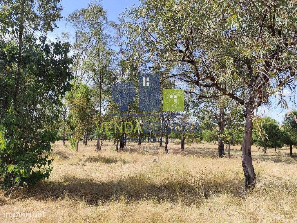 Terreno Rústico 11,425 Ha |Amareleja - Grande imagem: 5/9