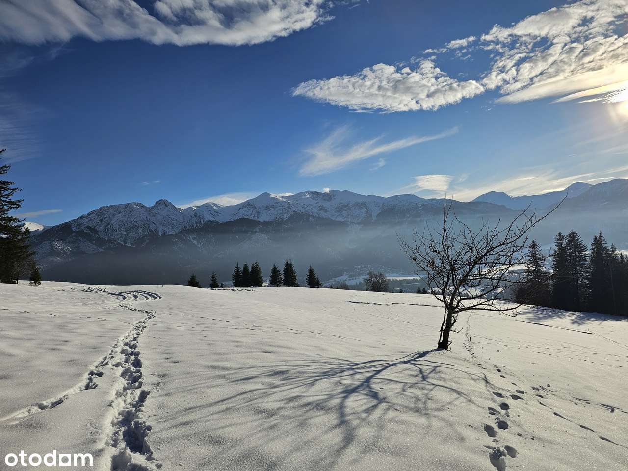 OKAZJA! Działka z PANORAMĄ TATR w Kościelisku na BUTOROWYM WIERCHU - Pełny obrazek: 4/9