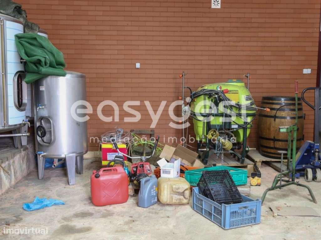 Quinta de excelência com 3,65 hectares perto de aldeias históricas - Grande imagem: 5/60