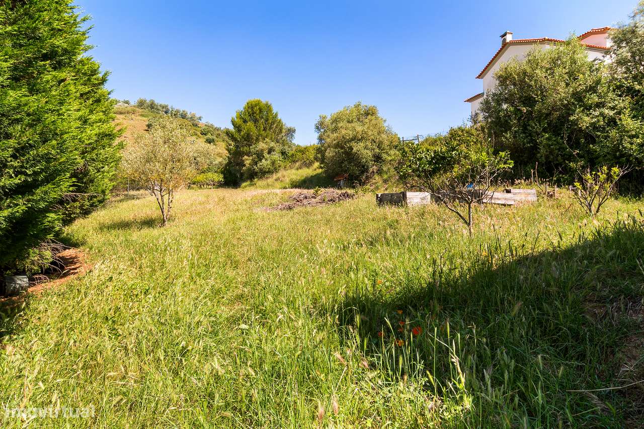 Moradia com terreno e árvores de fruto a 40mn de Lisboa-45