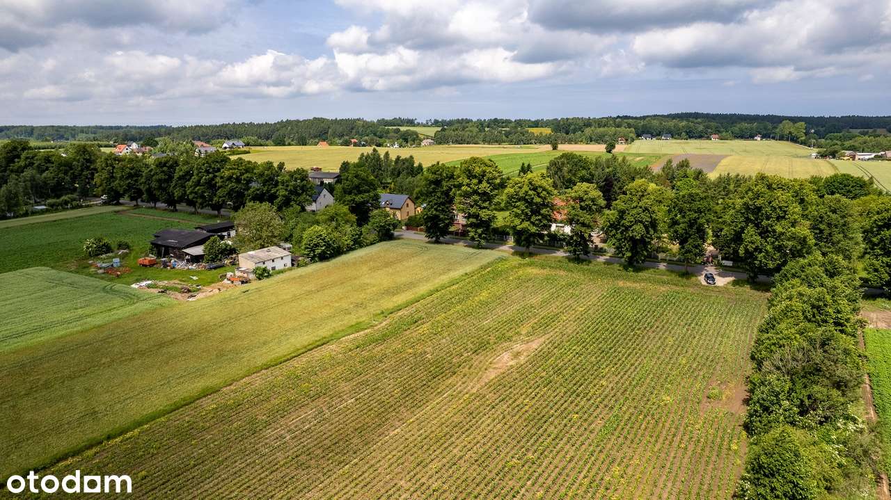 Perlino, działka budowlana 1464 m² przy ul. Lipowej, gmina Gniewino-6