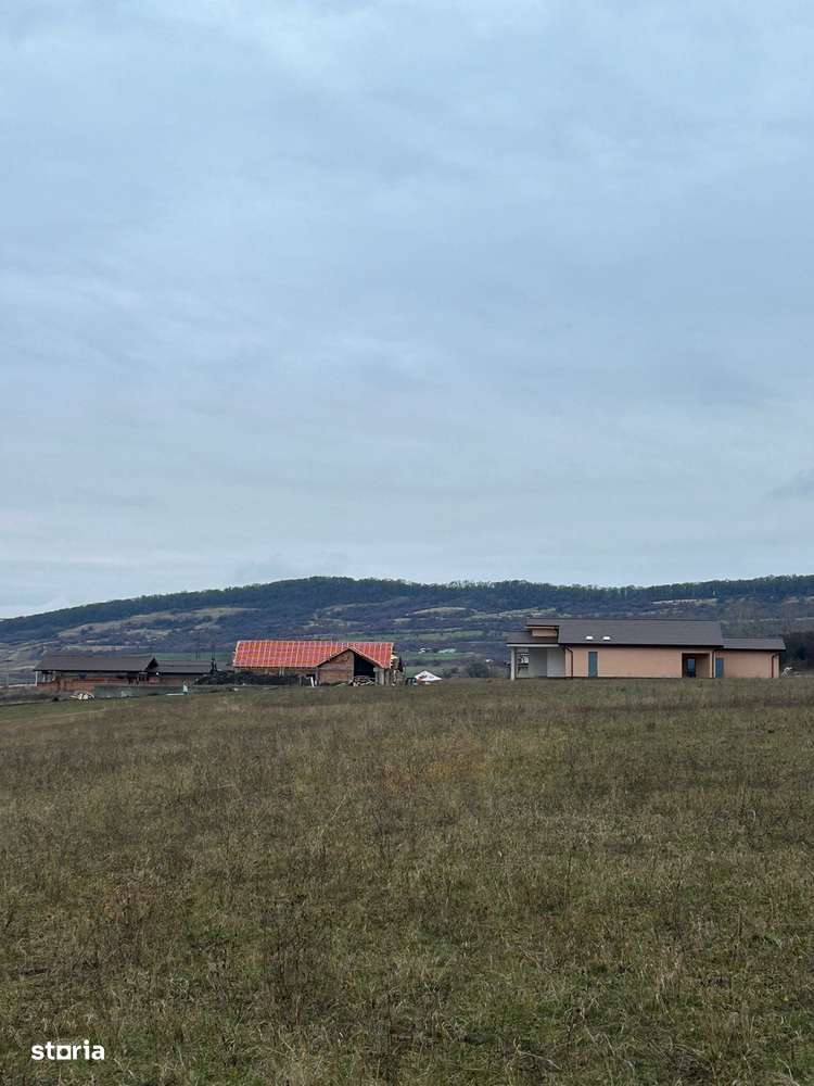 TEREN PRINS IN INTRAVILAN LANGA CARTIERUL ZORABIA - Imagine principală: 5/8