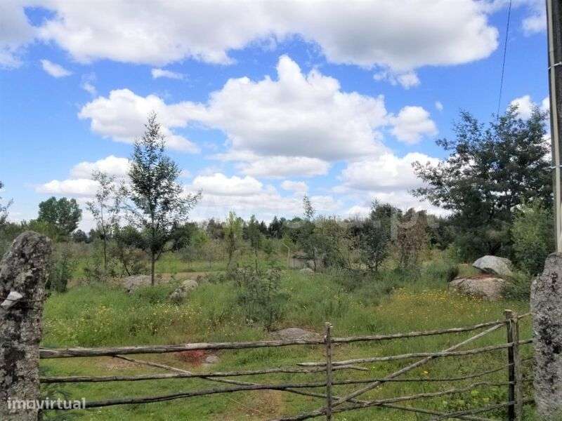 Terreno / Gouveia, Moimenta da Serra e Vinhó - Grande imagem: 3/6