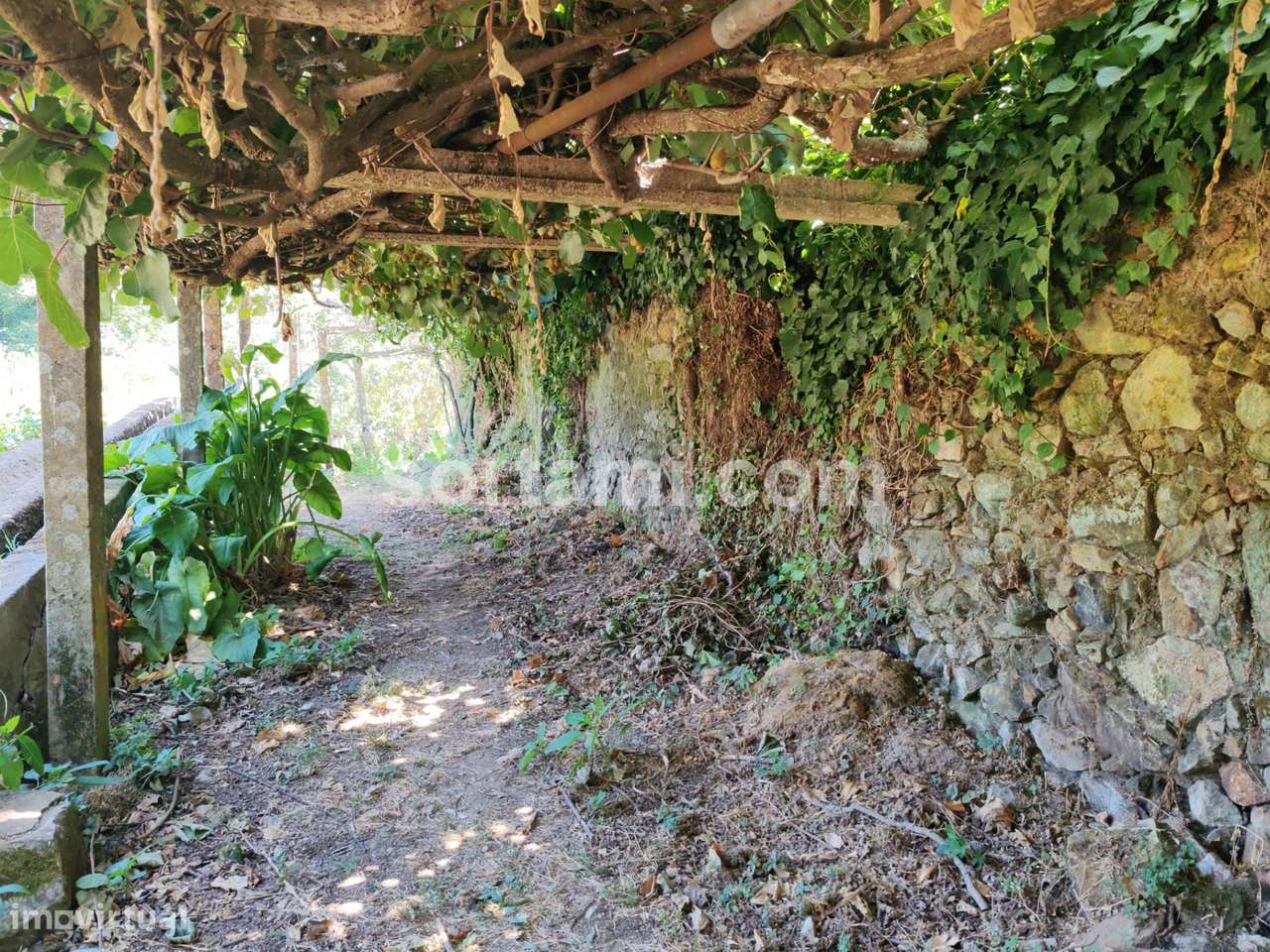 Terreno Rústico  Venda em Monchique,Monchique - Grande imagem: 5/14