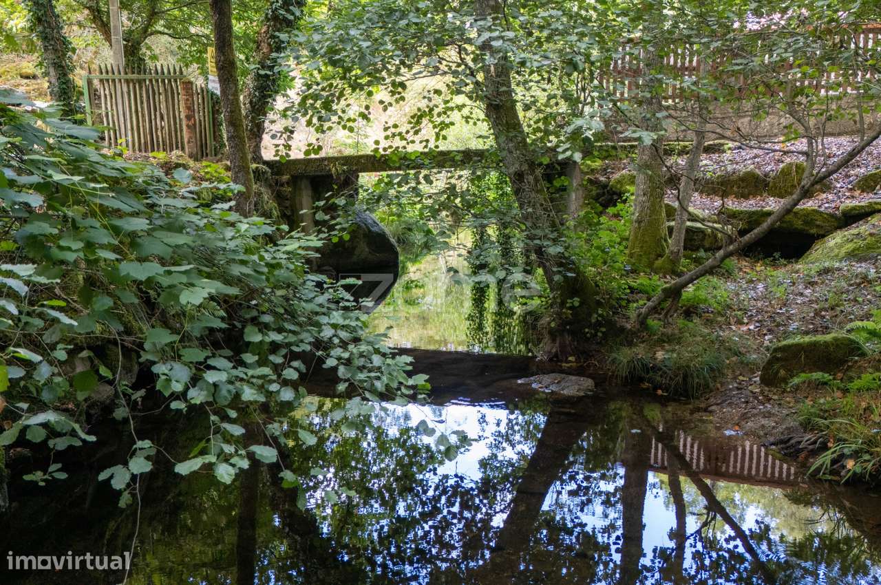 Quinta com Moínho e frente de Rio, Cabeceiras de Basto - Grande imagem: 3/60