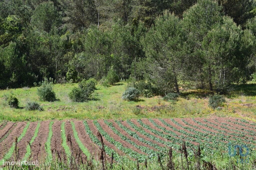 Terreno em Lisboa de 1800,00 m2