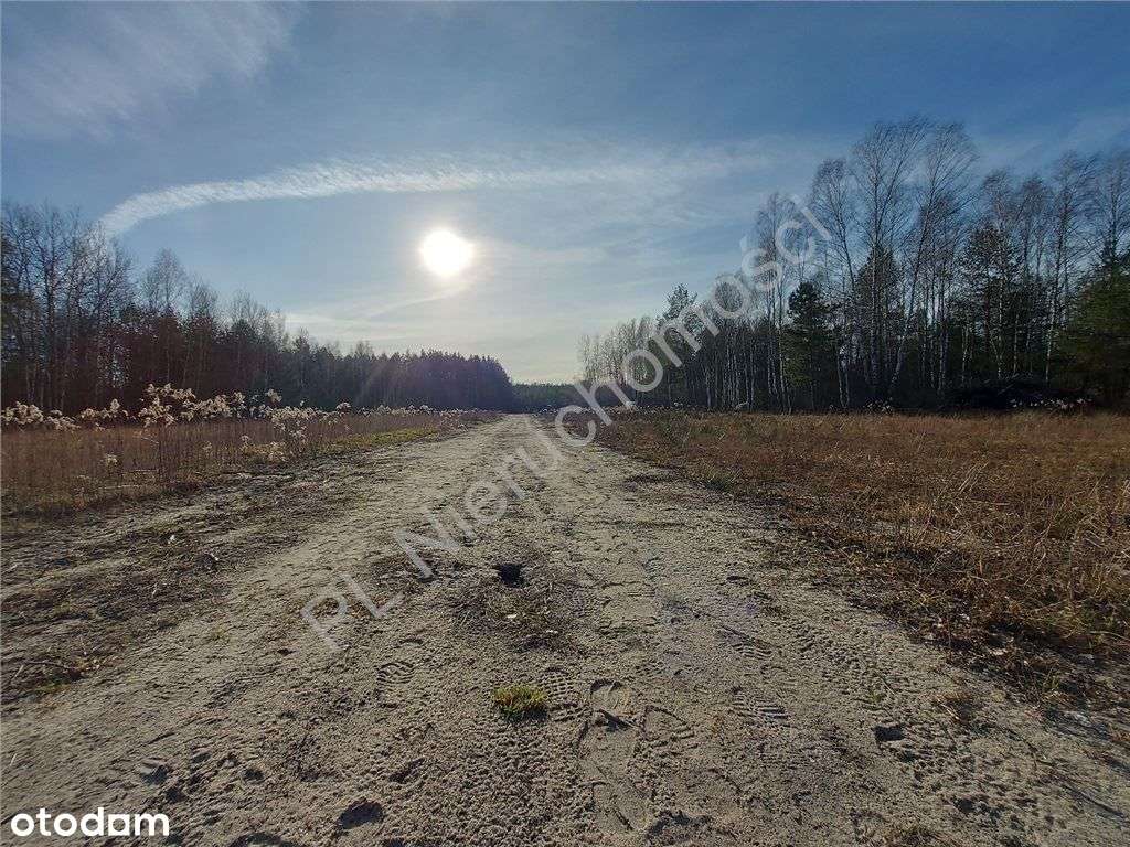 Ostatnia - Piękna Działka W Dobrej Cenie-7