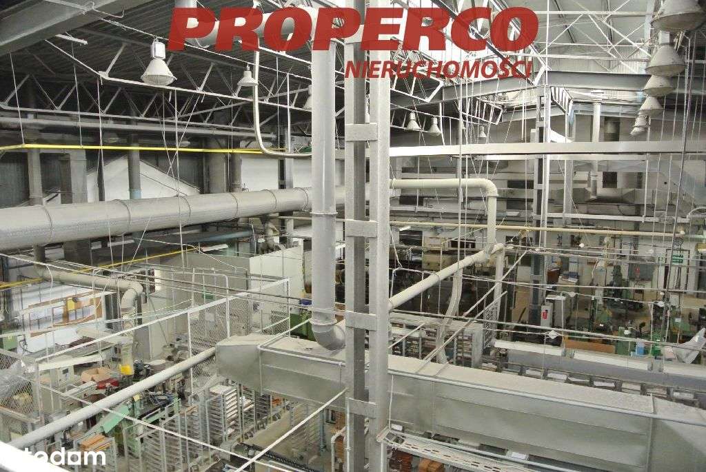 11 budynków (hale i biura) 10 094m2, centrum Kielc - Pełny obrazek: 5/15