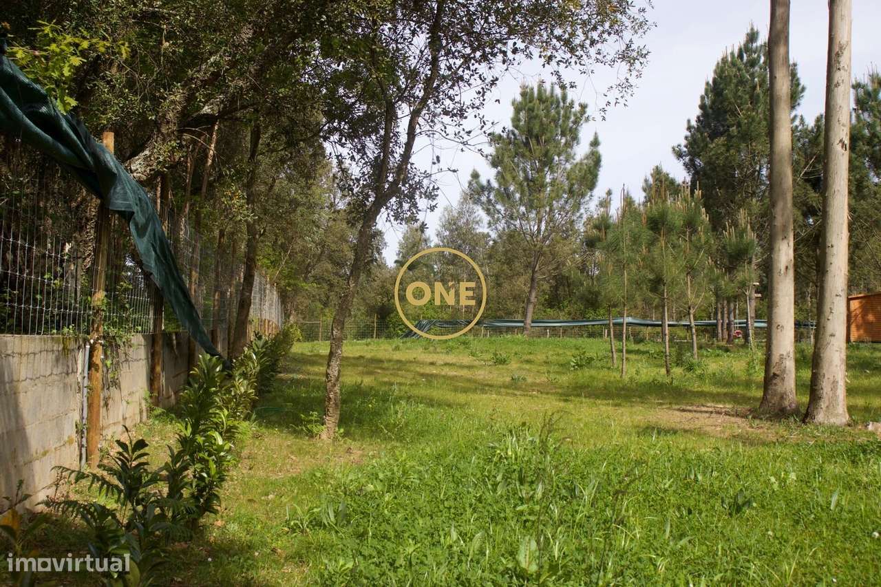 Terreno São Félix da Marinha – 4.100 m2-4