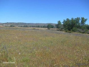 Beja - Herdade 58 Hectares de regadio