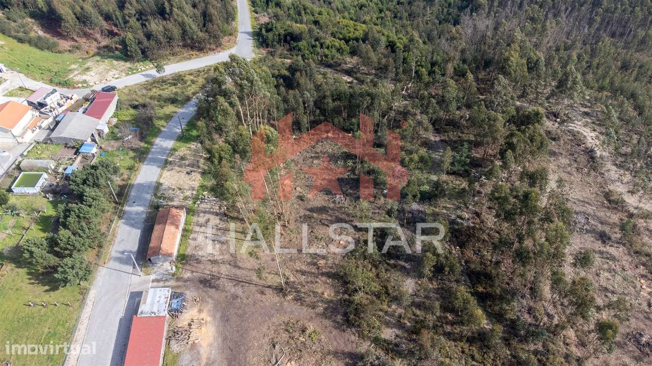 Terreno Florestal / Área Total 2.500m2 / Penafiel - Grande imagem: 2/6
