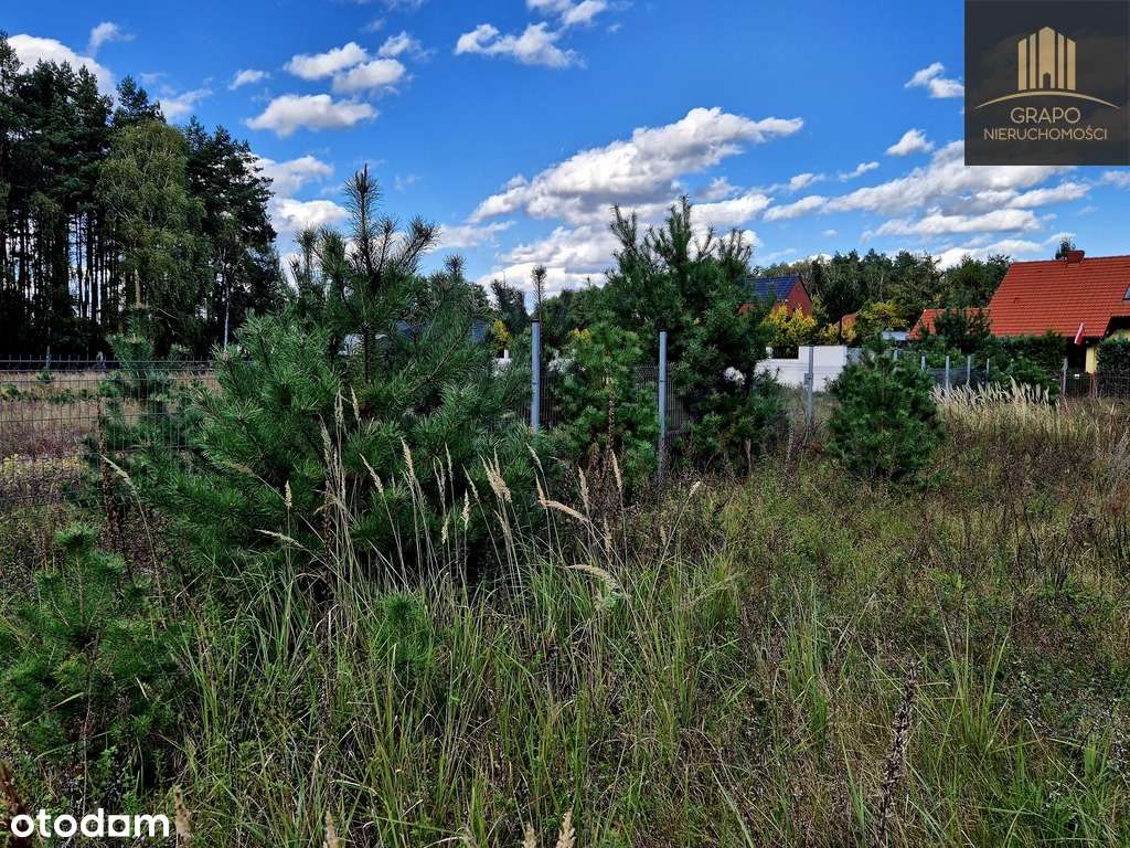 Działka z warunkami zabudowy, blisko las, jezioro-4