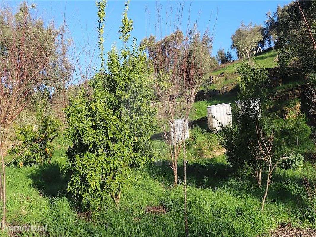 Moradia T3 para venda-33