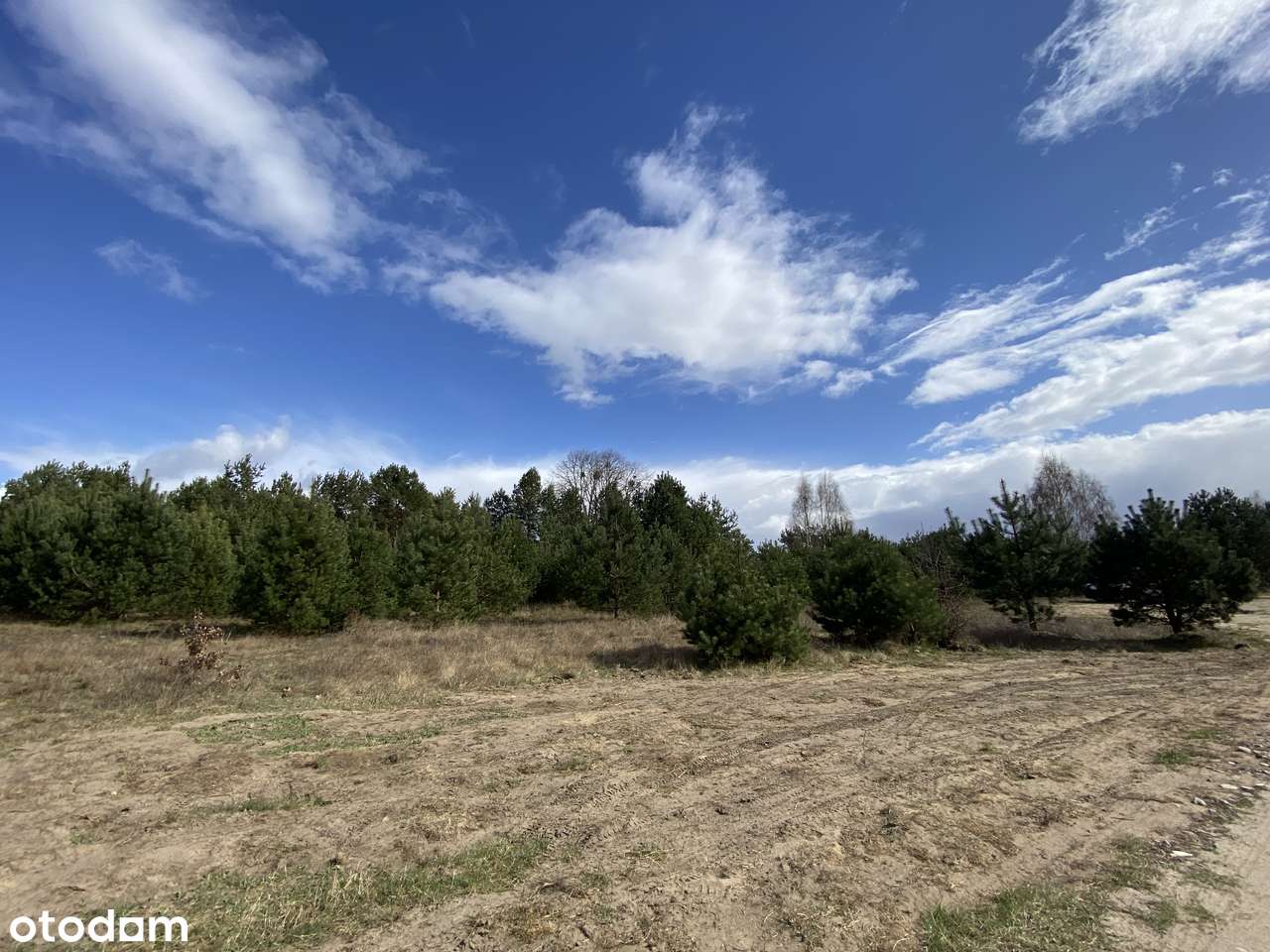 Atrakcyjna działka w Fordonie, Górny taras Fordonu - Pełny obrazek: 2/3