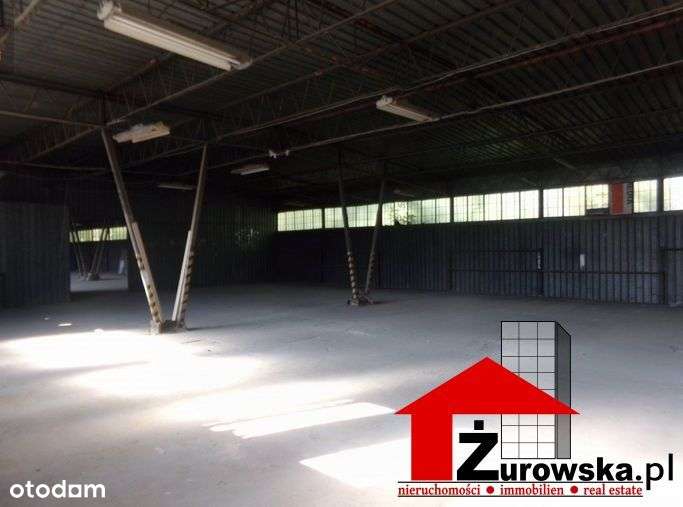 Hala/Magazyn, 1 050 m², Zabrze - Pełny obrazek: 2/2
