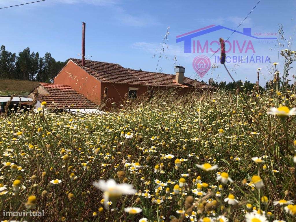 Casa de habitação T6, com anexos e furo de água, zona de Pedrogão G... - Grande imagem: 3/28