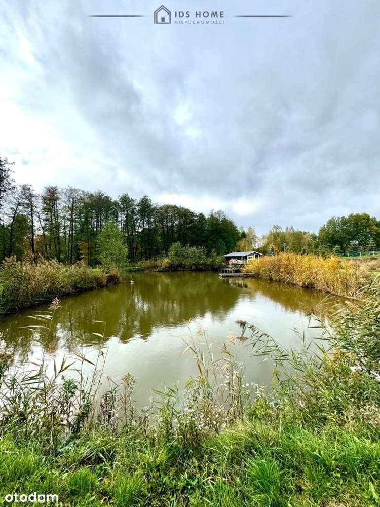 Klimatyczna Agroturystyka Własny Raj Bez Sąsiadów-5