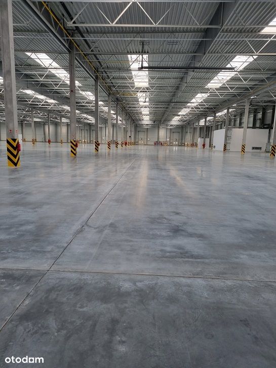 Koninko(ok. zjazdu A-2) hala 3000m2-9000m2 + biura