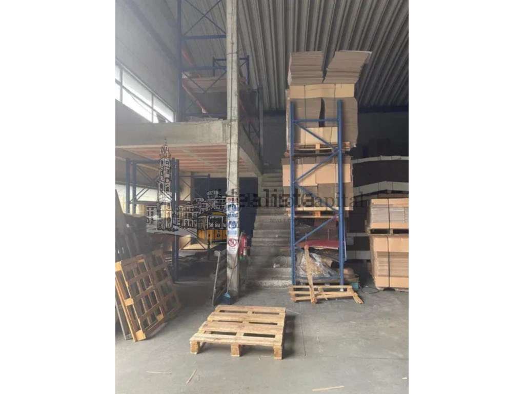 EXCELENTE ARMAZÈM GUILHABREU - Grande imagem: 5/21