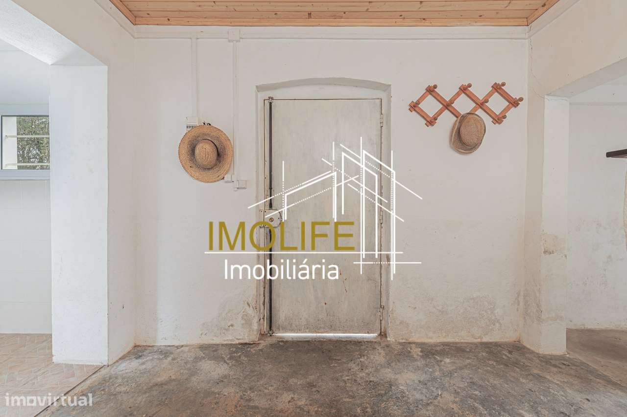 MONTINHO DO CHIADO - MALARRANHA - PAVIA - Grande imagem: 5/60