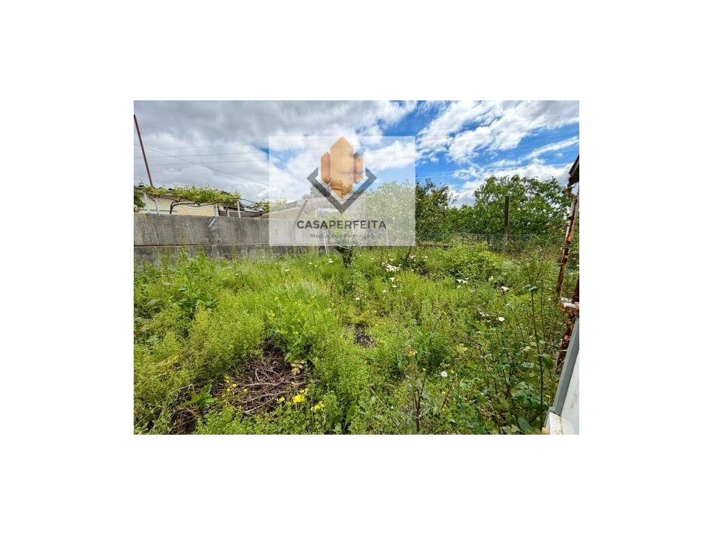 Andar Moradia T3 de 3 Frentes com Terreno, Garagem e Anexos - Avintes-6