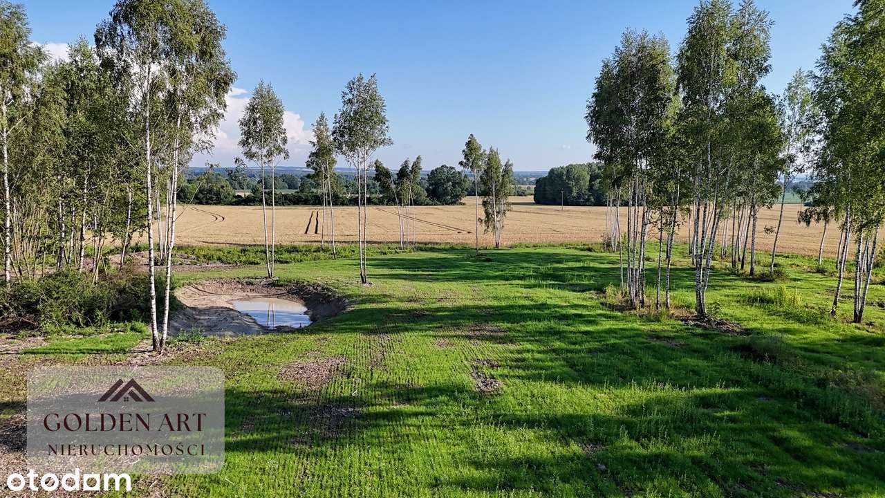 Działka na sprzedaż: Gmina Pasłęk | 5306 m² | WZ | Oczko wodne-8