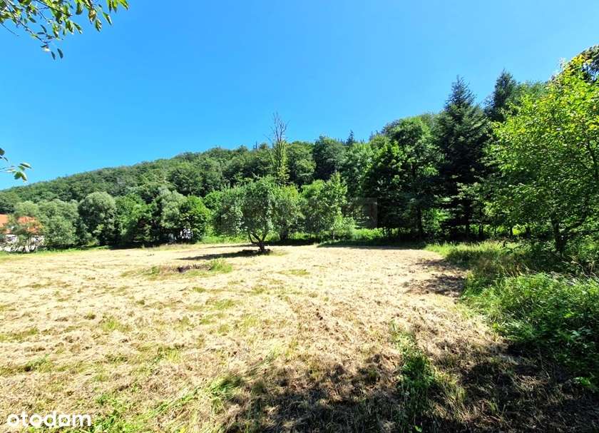 Działka budowlana o powierzchni 1568 m2!-3