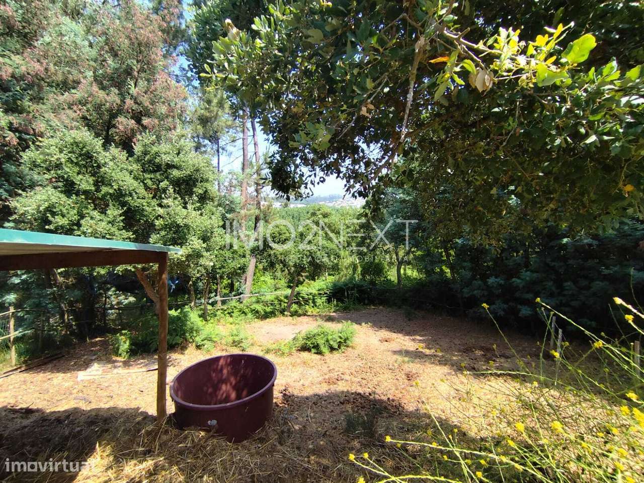 Terreno Rústico com Piscina e Bungalow || Azabucho || Pousos || Leiria-22