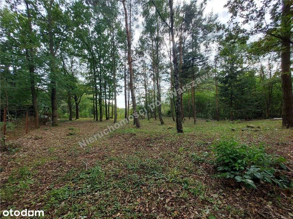 Cisza, Zieleń, Rzeka I Ona - Działka W Łosiu.-5