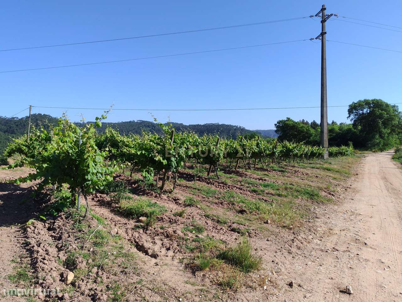 Terreno com 21 hectares - Mafra - Grande imagem: 5/10