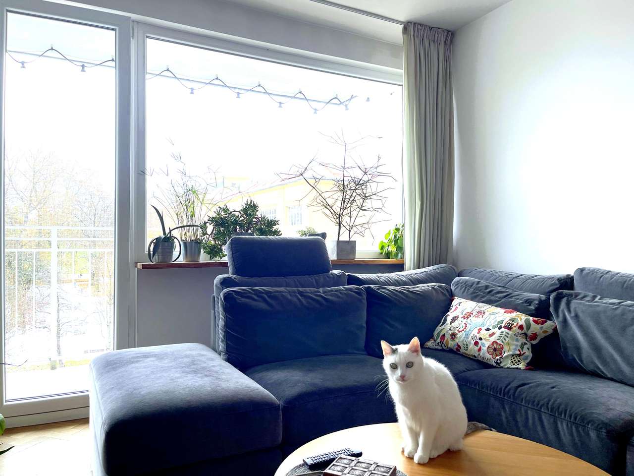 Centrum Stare Miasto Media Miejskie Widok Panorama Rozkładowe-5