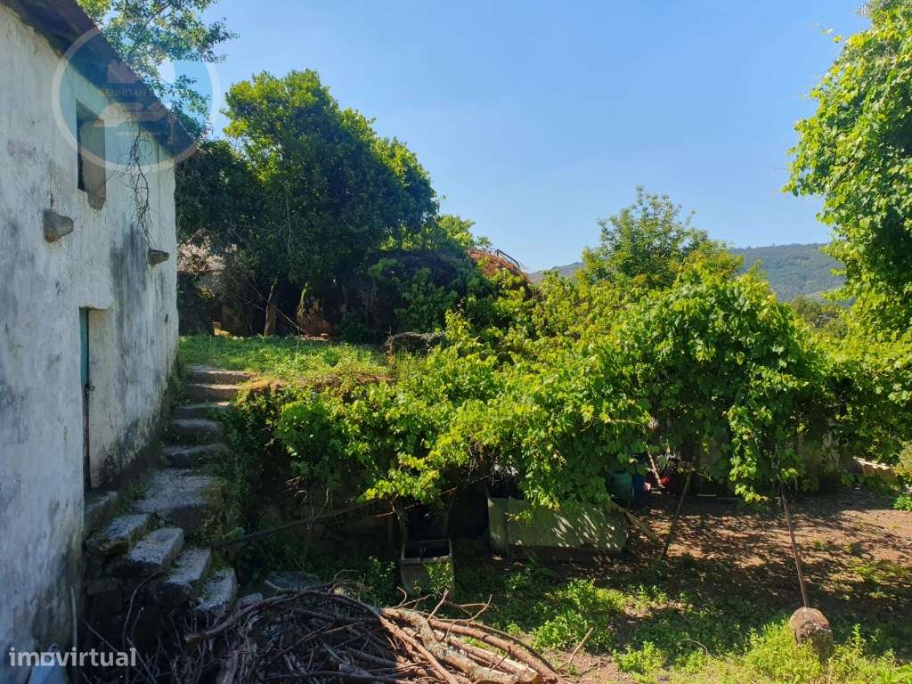 Quinta à venda para restauro em Arroteia freguesia de Rossas-8