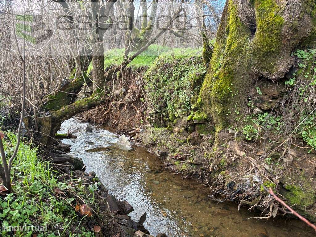 Magnifica Quinta a confinar com Rio Zêzere-8