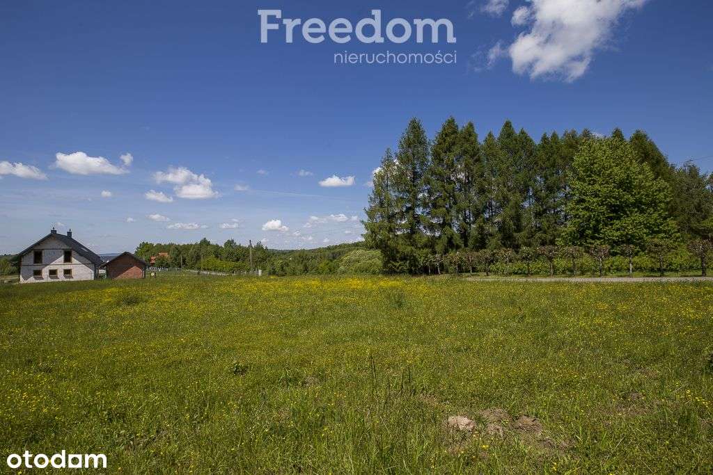 Działka z Wz, media, las 4 km od Rzeszowa-7
