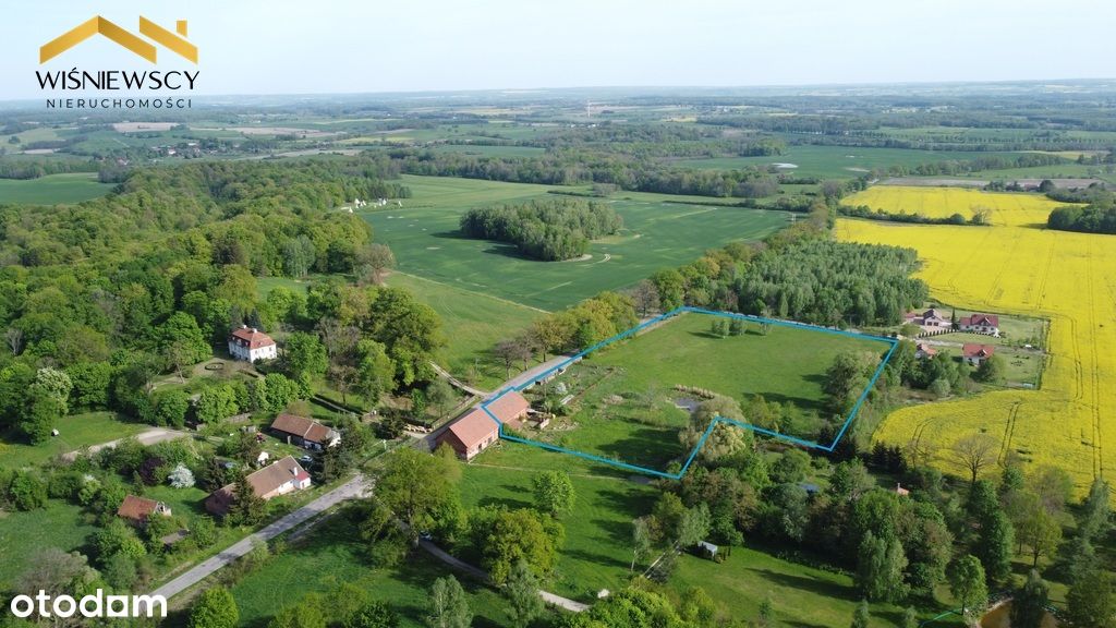 Dom do adaptacji 424m2; działka 2,6 ha, Dawidy