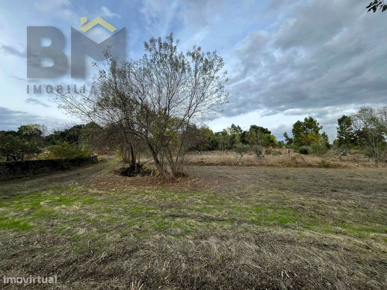 Quintinha  Venda em Póvoa de Rio de Moinhos e Cafede,Castelo Branco - Grande imagem: 5/10
